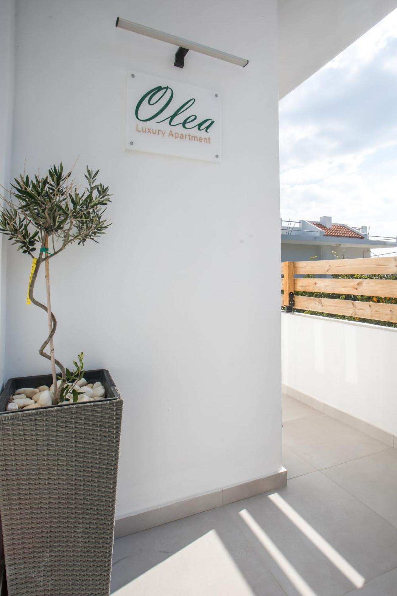 Olea Luxury Apartment Afantou Extérieur photo