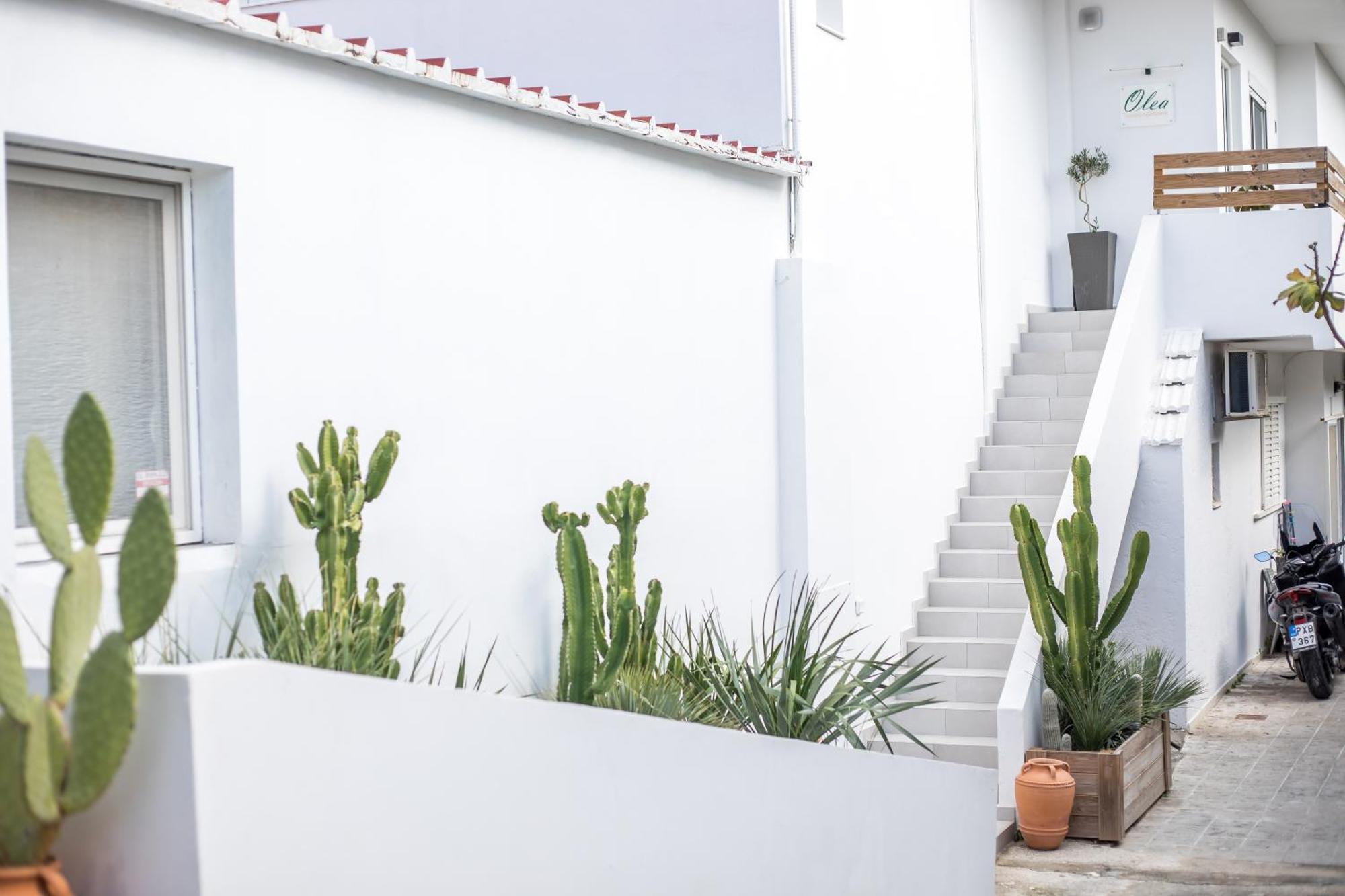 Olea Luxury Apartment Afantou Extérieur photo