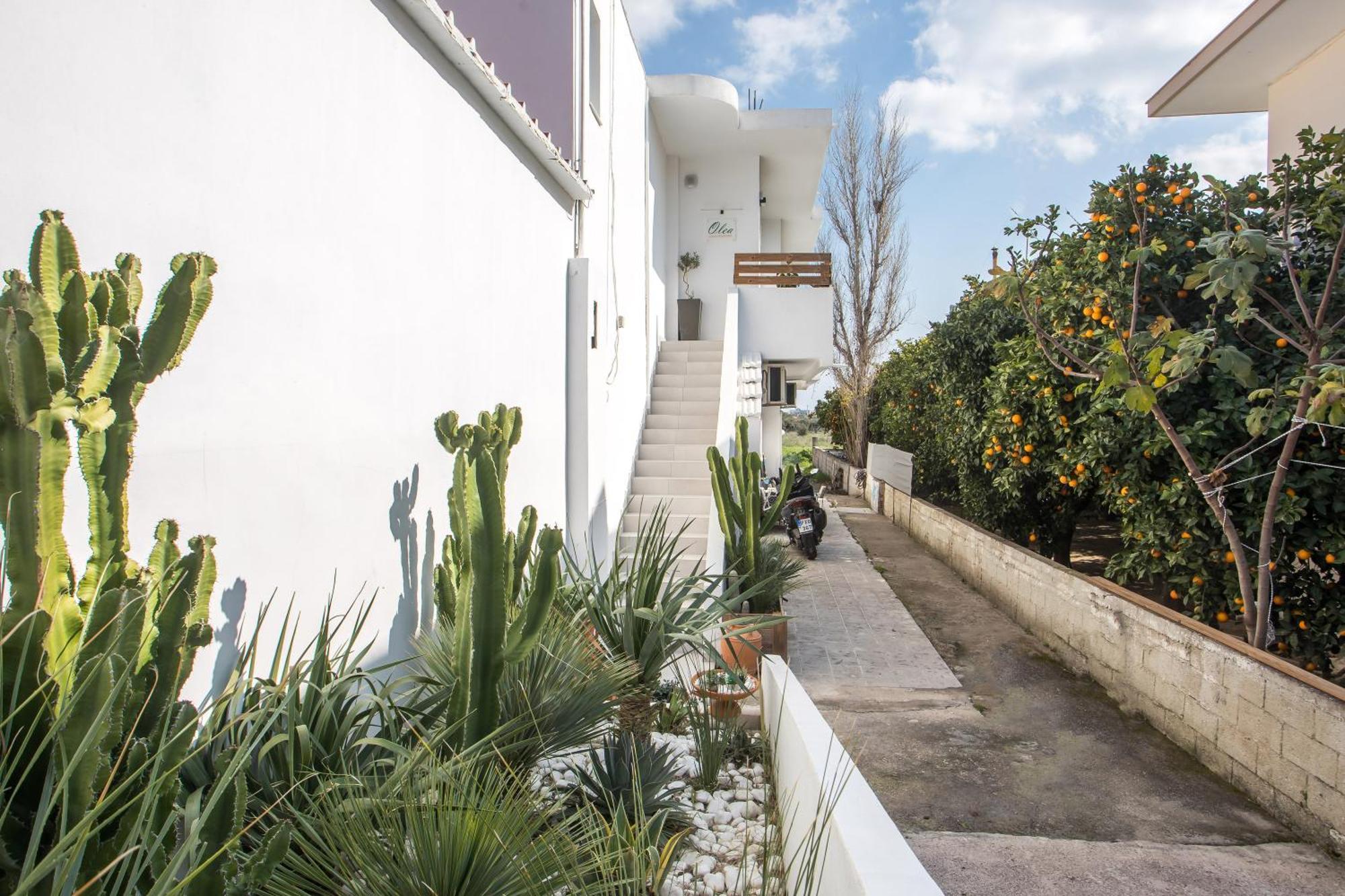 Olea Luxury Apartment Afantou Extérieur photo